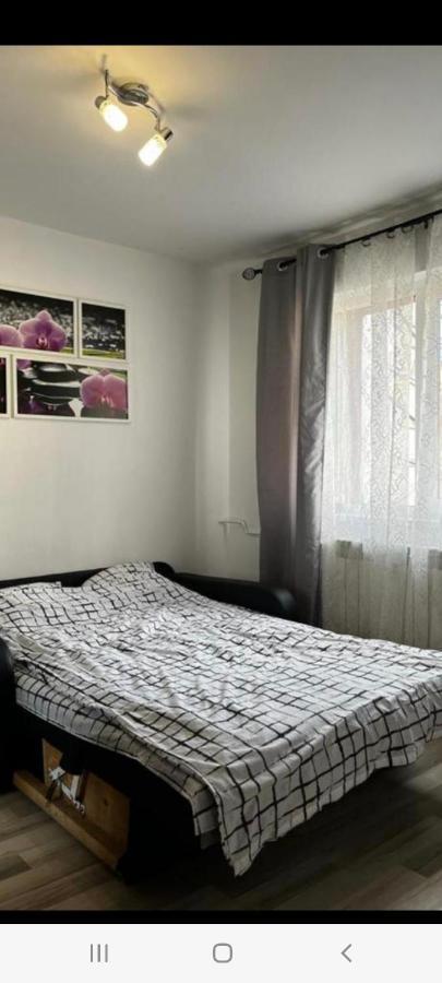 Zenapartment Braşov Eksteriør bilde