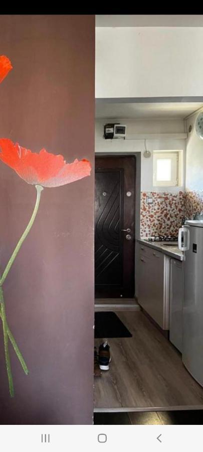 Zenapartment Braşov Eksteriør bilde