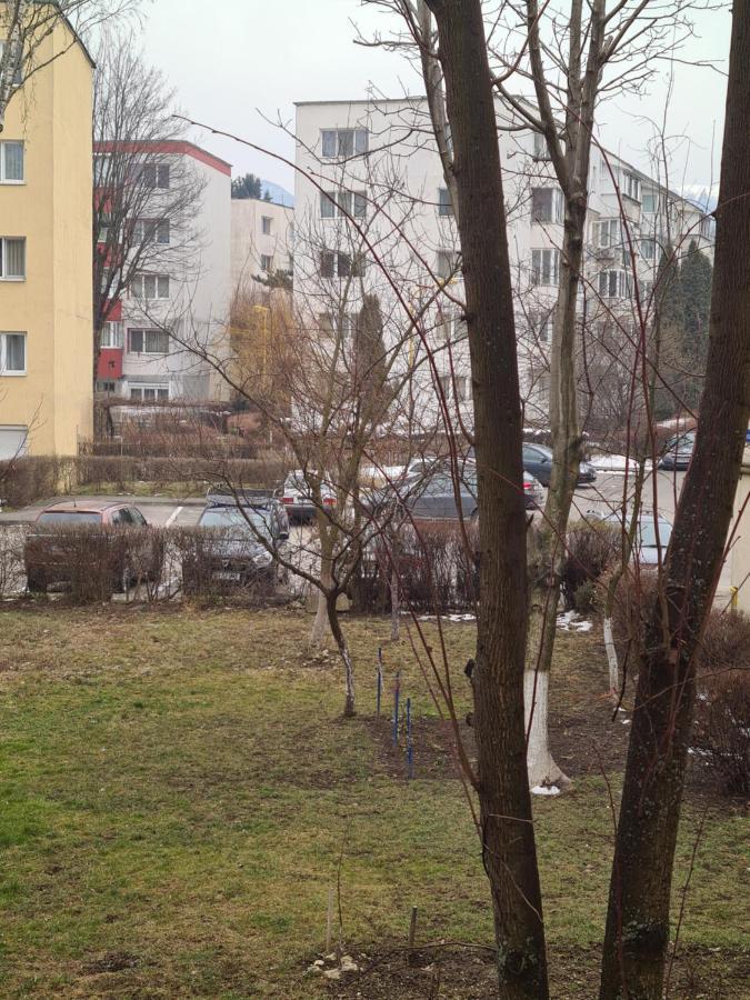 Zenapartment Braşov Eksteriør bilde